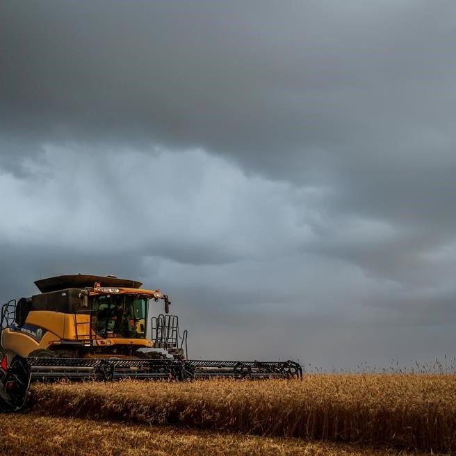 Technology set to replace many jobs in agri-food sector over next decade: report